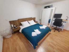 Le Pied-à-Terre de Fenières - T2 à 10mins de Genève et du CERN ! Thoiry